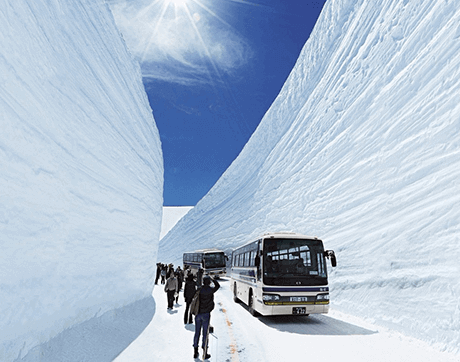 Tỉnh Toyama - Bức Tường Tuyết